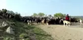 Yörüklerle 26 gün yürüyerek göç yolunu kaydetti