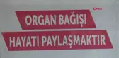 ADANA' DA 18 YILDIR BEKLEDİĞİ BÖBREĞE, ANTALYA'DA 49 GÜNDE KAVUŞTU