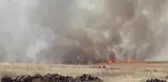 Bin dönümlük ekili tarlada yangın
