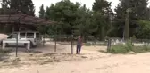 Mezarlığın kapılarını çaldılar