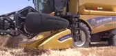 Şanlıurfa'da yerli tohumda hasat bereketi...Yerli tohumun verdiği ürünün ilk hasadı yapıldı