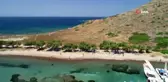 Bodrum Belediye Başkanı eline eldiveni takıp çöp topladı