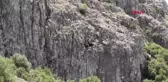BURDUR 2 KEÇİ UÇURUM KENARINDA 5 GÜNDÜR KURTARILMAYI BEKLİYOR