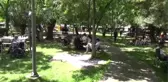 Elazığlılar 