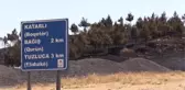Fıstık ağaçları ve saman balyaları yandı