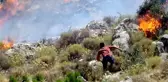 Balıkesir'de orman yangını