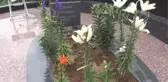 Kazım Koyuncu ölümünün 14. yılında anıldı