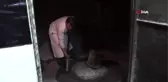 Siirtlileri uykularından ettiren lezzet: 