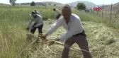 HAKKARİ İMECE USULÜ İLE OT BİÇİYORLAR