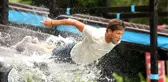 Survivor 2019'un finalistleri belli oldu