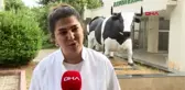 ADANA Süt ürünlerinin zararı yok