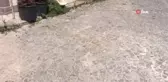 Çanakkale'de eğlence mekanı çıkışı cinayet