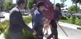 Denizcilik ve Kabotaj Bayramı - DÜZCE
