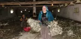 Bolu'da ipekböceği yetiştiren köylüler 45 günde 20 bin lira kazanıyorlar