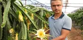 Sebzeyi bıraktı, ejder meyvesi üretimine başladı! Şimdi paraya para demiyor