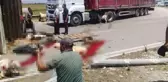 Adana'da TIR devrildi, 60'a yakın küçükbaş hayvan telef oldu