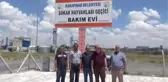 Karapınar'da hayvan barınağı sahipsiz hayvanlar için yuva oldu