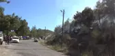 Manavgat'ta orman yangını