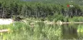 Kiçir Göleti, amatör balıkçıların yeni adresi