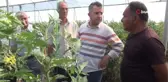 Sebze üreticisi Necmettin Yavuz: 
