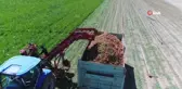 Havucun merkezi Konya'da hasat yapılıyor...Havuç tarlaları havadan görüntülendi