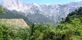 Almanların 