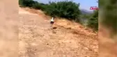 İZMİR Sağlığına kavuşan leyleğin uğurlanma anı gülümsetti