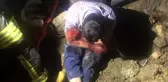 Tuvaletini yapmak için seçtiği yer kabusu oldu!