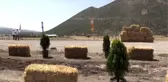Atlı Okçuluk Türkiye Şampiyonası