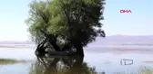 DENİZLİ Nilüferleriyle ünlü Işıklı Gölü, görsel şölen sunuyor