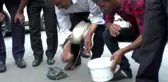 MUŞ Kubbeden düşen yavru leylek, itfaiye aracıyla yerine koyuldu