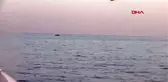 İZMİR'DE 50 KAÇAK GÖÇMEN YAKALANDI