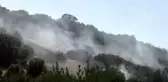 Ödemiş'te 1 hektarlık makilik alan yandı