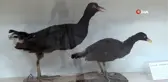Anız yangınları toprağın dokusunu bozuyor