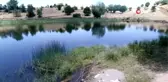 Görenleri kendine hayran bırakan 