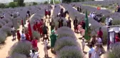 Mora bürünen lavanta bahçelerinde mehter ve spor keyfi