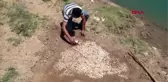 Adıyaman'da, baraj kıyısında mozaik bulundu