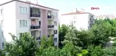 Emekli başkomiser Edirne'ye 400 ağaç dikti