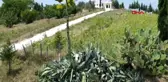 100 yıla kadar yaşayan ve dünya mirası listesindeki Agave Kaktüsü, çiçek açtı