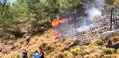 Fethiye'de ormanlık alanda yangın çıktı