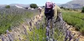 Türkiye'nin en büyük adası 