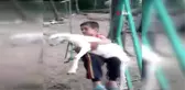 Keçiyi mutlu etmek için salıncağa bindirdiler.