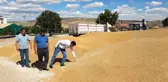 Kırıkkale'den günlük 800 ton buğday ve arpa sevkiyatı yapılıyor