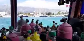 Antalya'nın muhteşem su altı dünyası