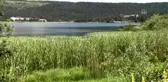 Tabiat parkları 