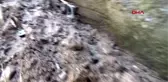 ZONGULDAK Heyelan nedeniyle boşaltılan binada incelemeler sürüyor