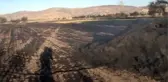 Bin 500 dönümlük alanda anız yangını