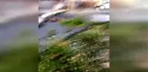 Bir maden işletmesinin atık suyu dereye karıştı