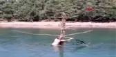 ÇANAKKALE Ayağına misina dolanan balıkçıl kuşunu kurtardı