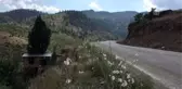 Ardıç gövdesine inşa ettiği evde doğayla iç içe yaşıyor